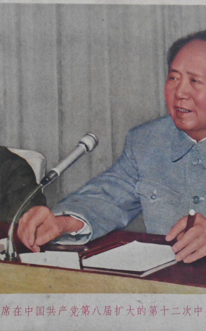 毛主林副主席第八届委员会_毛主林副主席第八