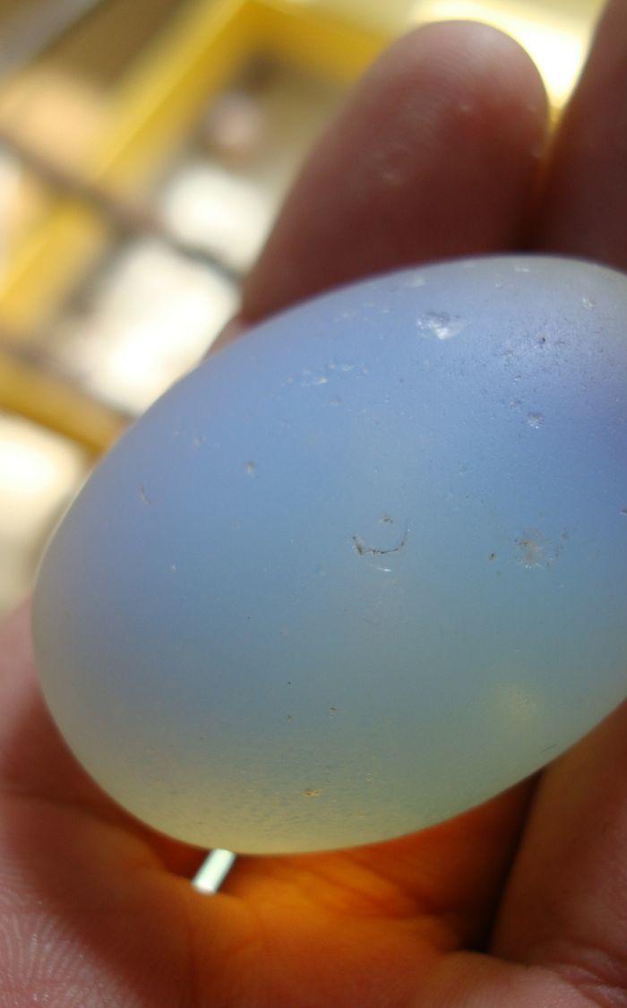 管他什么玩应收来便宜卖便宜_管他什么玩应收