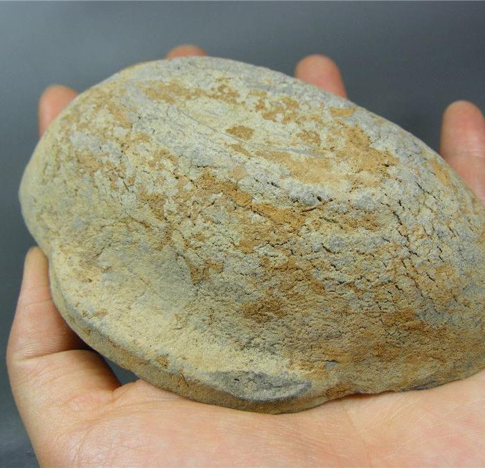 生坑出土 汉代灰陶带土沁双耳大耳杯(品相完整