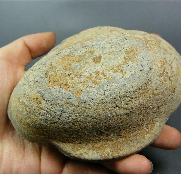 生坑出土 汉代灰陶带土沁双耳大耳杯(品相完整