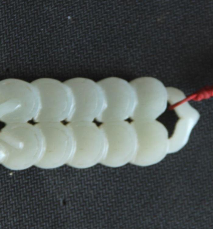 钱串子_钱串子价格_钱串子图片_来自藏友林正