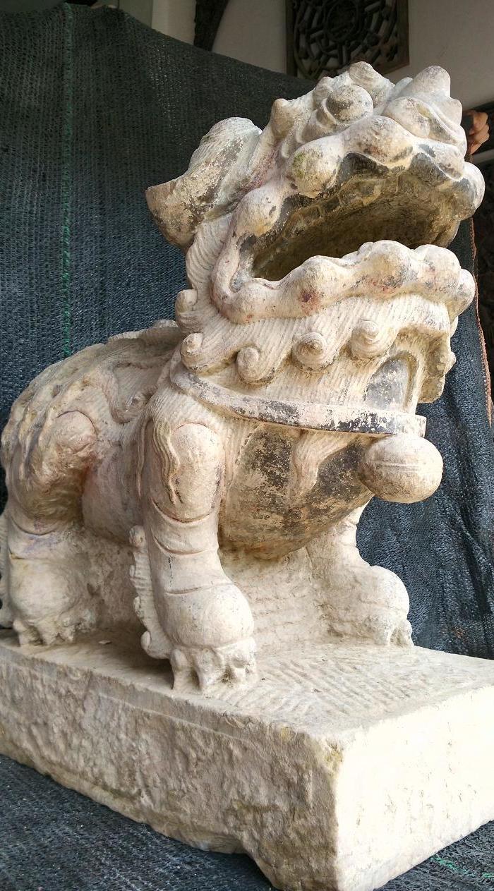 朝天犼_朝天犼价格_朝天犼图片_来自藏友梁平