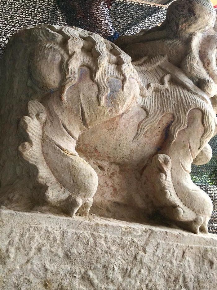 朝天犼_朝天犼价格_朝天犼图片_来自藏友梁平