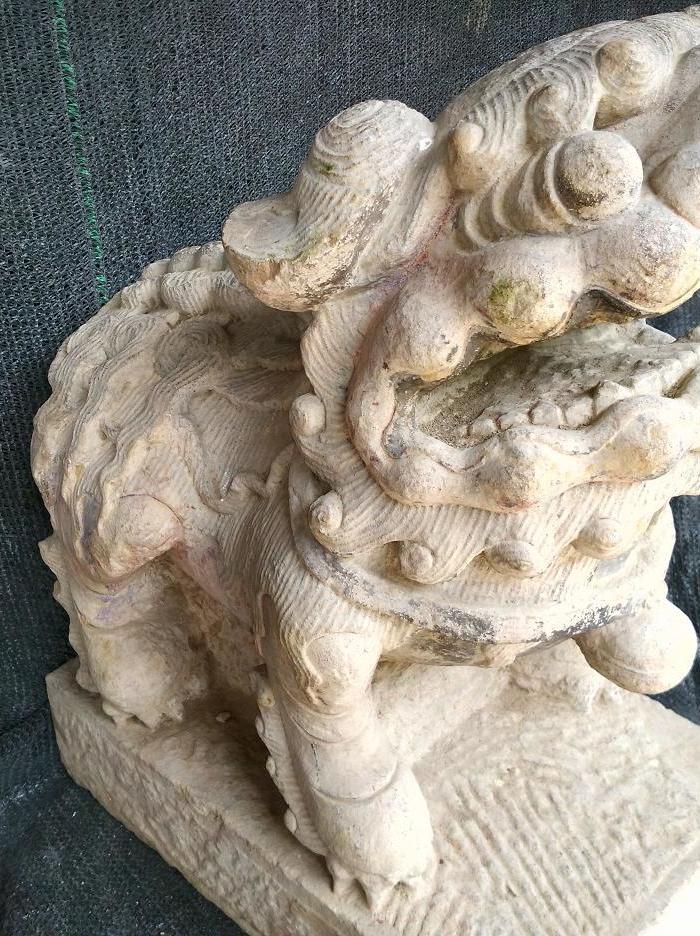 朝天犼_朝天犼价格_朝天犼图片_来自藏友梁平