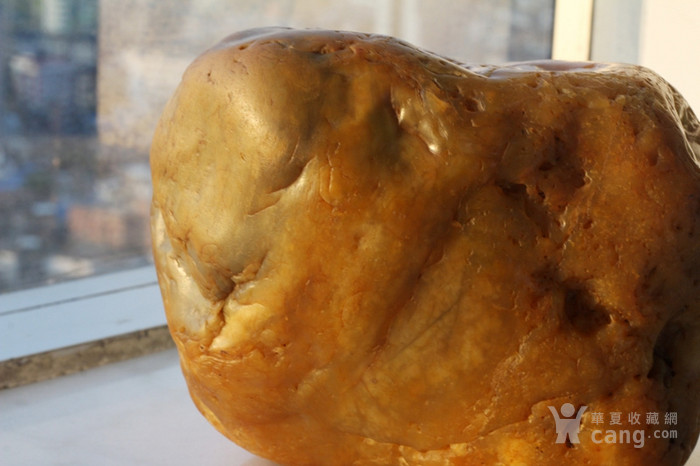 石英岩玉原石 色泽近田黄玉。_石英岩玉原石 