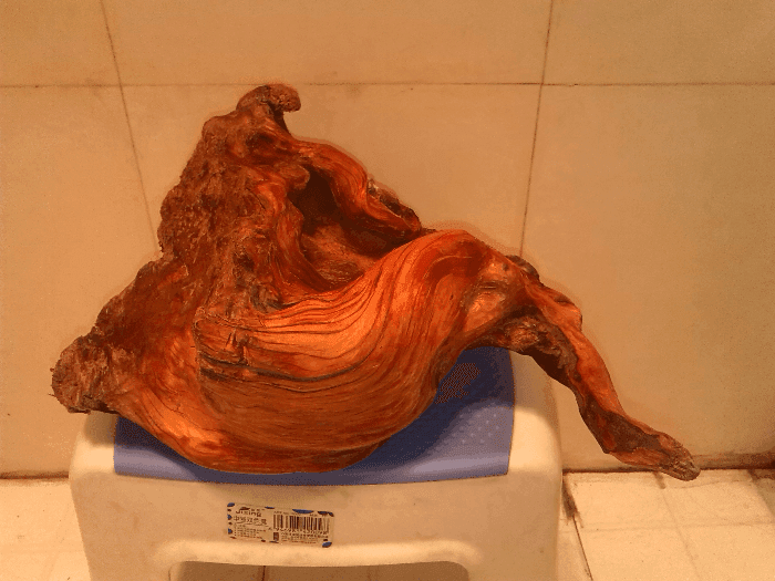 太行崖柏摆件(根抱石),全红陈化料_太行崖柏摆