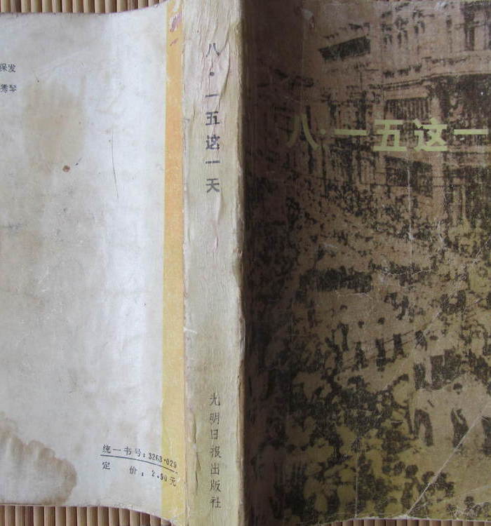 纪念反法西斯战争四十周年《八一五这一天》_