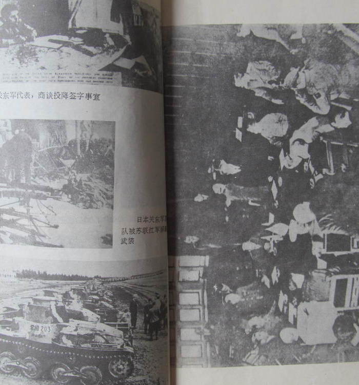 纪念反法西斯战争四十周年《八一五这一天》_