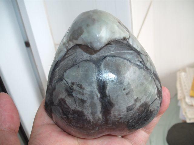 2号4亿年前泥盆纪枭头贝化石9公分80元_2号4