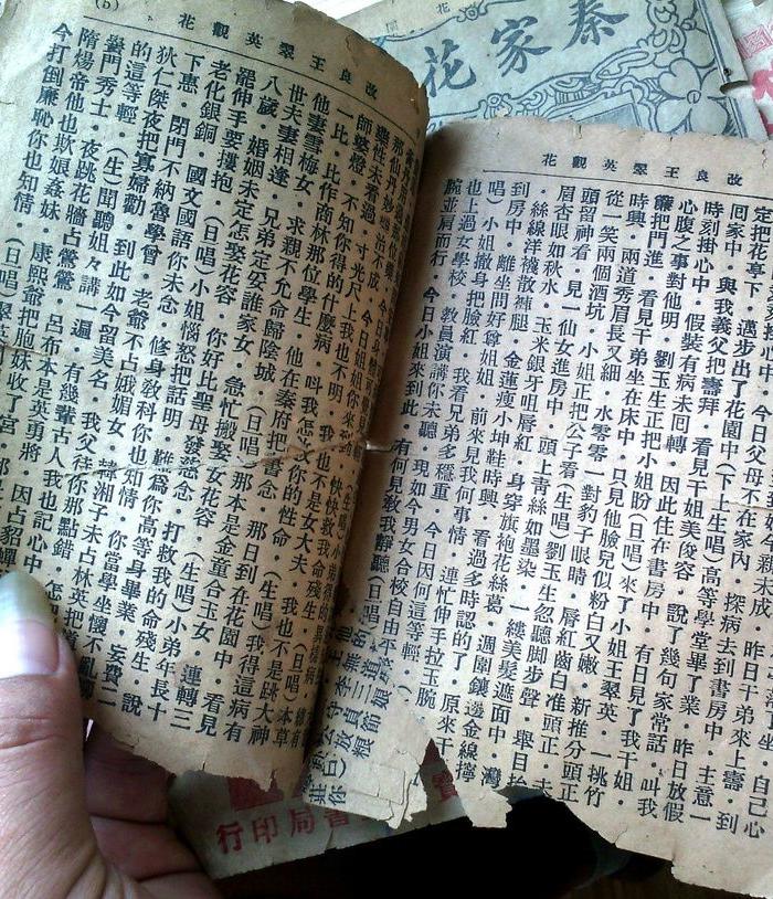 改良王翠英观花_改良王翠英观花价格_改良王