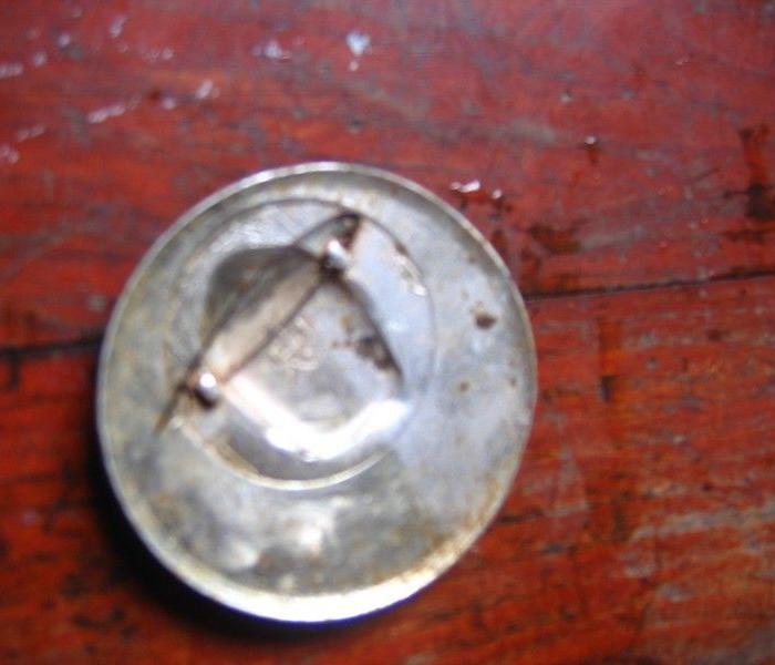 毛主席像章一定要打到台湾_毛主席像章一定要