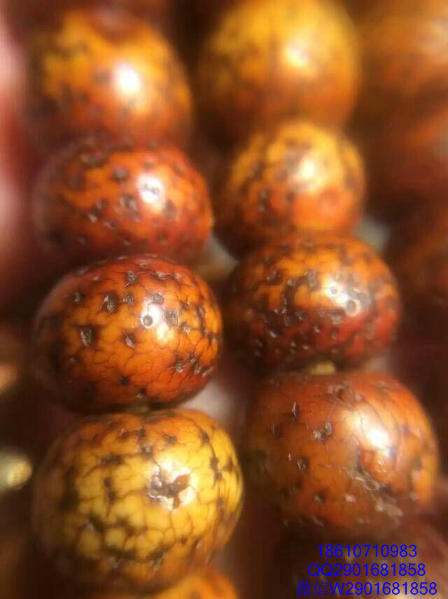 藏地原生态老星月菩提念珠_藏地原生态老星月