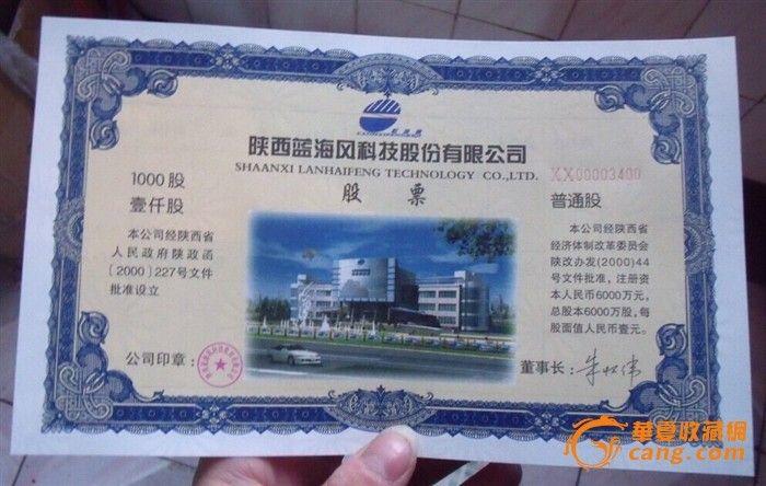 陕西蓝海风科技股份有限公司股票1000股--有水