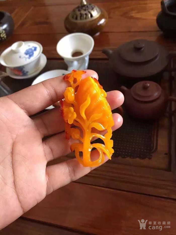 花_蝶恋花价格_蝶恋花图片_来自藏友仙作文玩高中作文楚才图片
