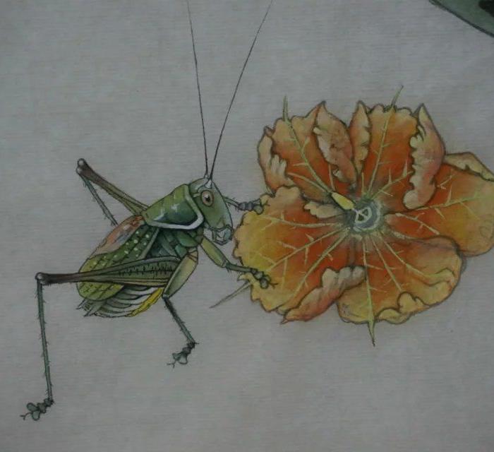 河北著名画家孙乾 西瓜 蝈蝈_河北著名画家孙