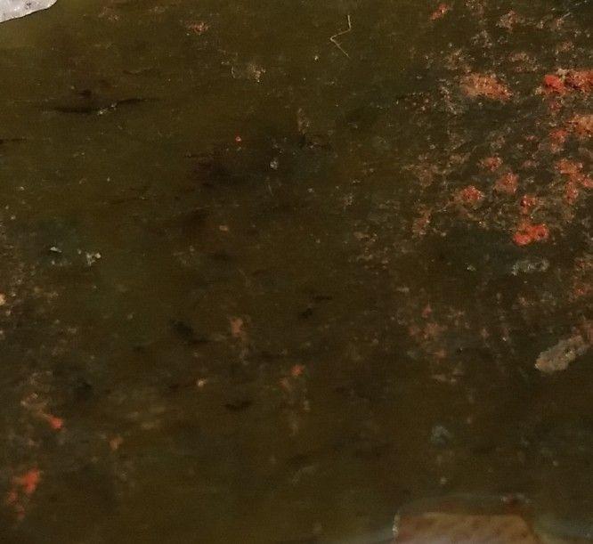 春秋晚期不减地浮雕龙纹玉璜壁圭璋琥礼玉祭祀