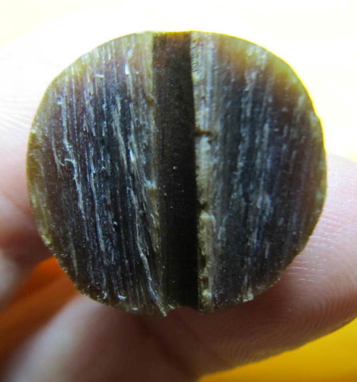 剖开的老东东珠(惠让)_剖开的老东东珠(惠让)价