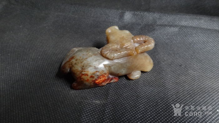 老玉回头牛