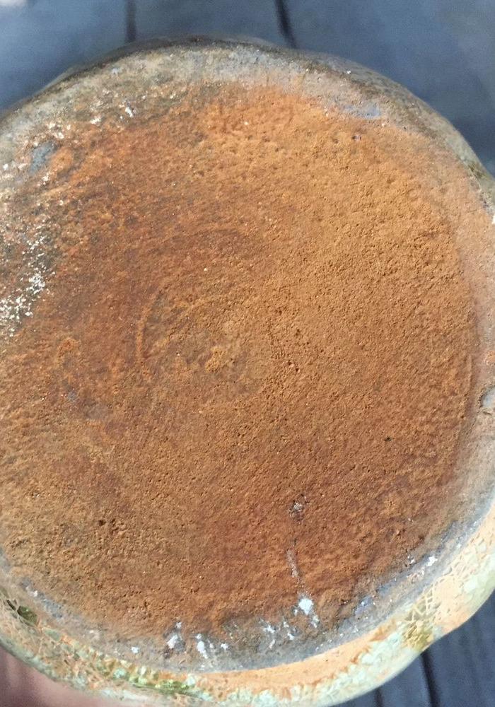 乡下挖的一只老母鸡_乡下挖的一只老母鸡价格