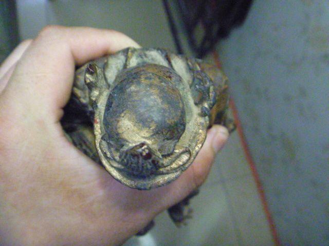 老奶奶家的铜财神 老物件哦 大约三金重_老奶