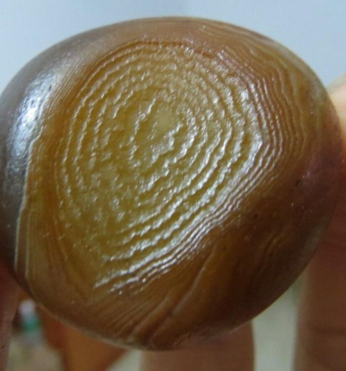 微圆的手指螺纹花纹玛瑙(不议价,价低不出自