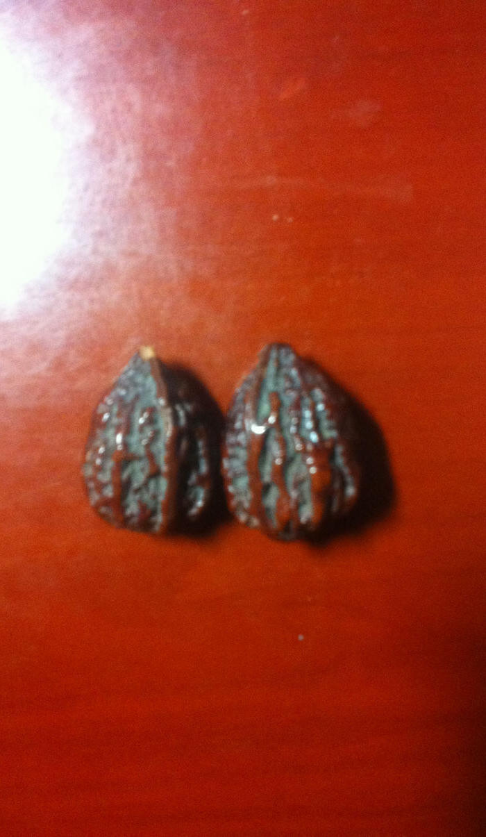 盘玩数十年的文玩核桃_盘玩数十年的文玩核桃价格_盘玩数十年的文玩核桃图片_来自藏友东干铁骑_杂项_地摊交易_华夏收藏网 cang.com