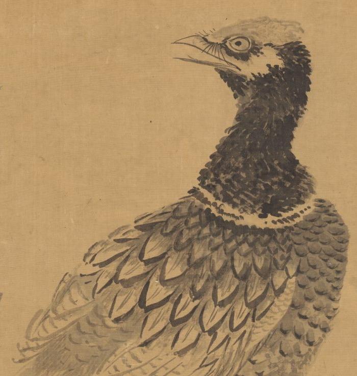 明 沈周-百合文雉图 绢本_明 沈周-百合文雉图