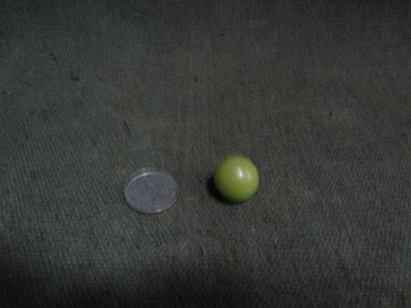 清代的夜明珠珠子_清代的夜明珠珠子价格_清