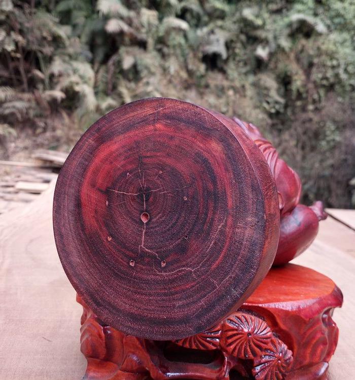 赞比亚紫檀_赞比亚紫檀价格_赞比亚紫檀图片