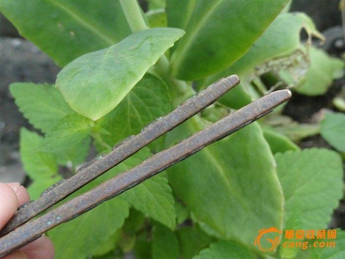 昌记和伯仁记代银铜钱_昌记和伯仁记代银铜钱