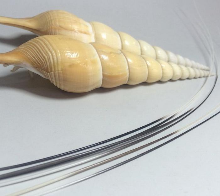 那个啥 懂的来吧_那个啥 懂的来吧价格_那个啥