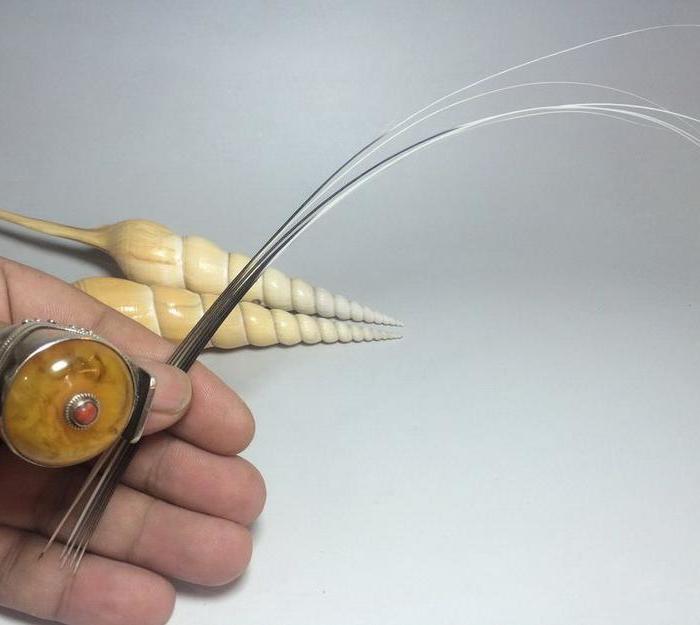 那个啥 懂的来吧_那个啥 懂的来吧价格_那个啥