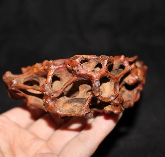 黄杨木雕刻的根性底座_黄杨木雕刻的根性底座