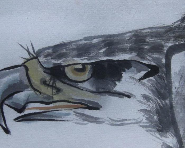 国画老鹰图画,本地名家画的,原来在玻璃框里,当