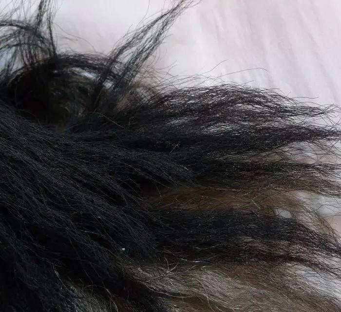 老黑熊皮毛拂尘_老黑熊皮毛拂尘价格_老黑熊