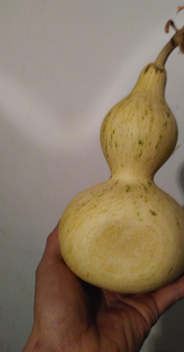 异形压腰葫芦_异形压腰葫芦价格_异形压腰葫