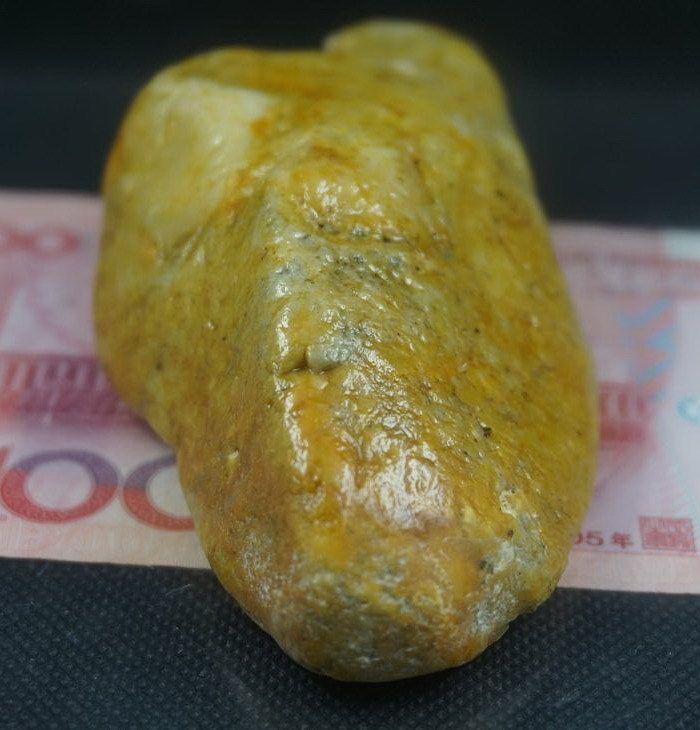 22262J64黄皮白心金狮峰肉质好饱满大料236