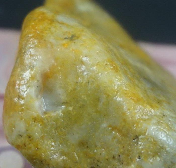 22262J64黄皮白心金狮峰肉质好饱满大料236