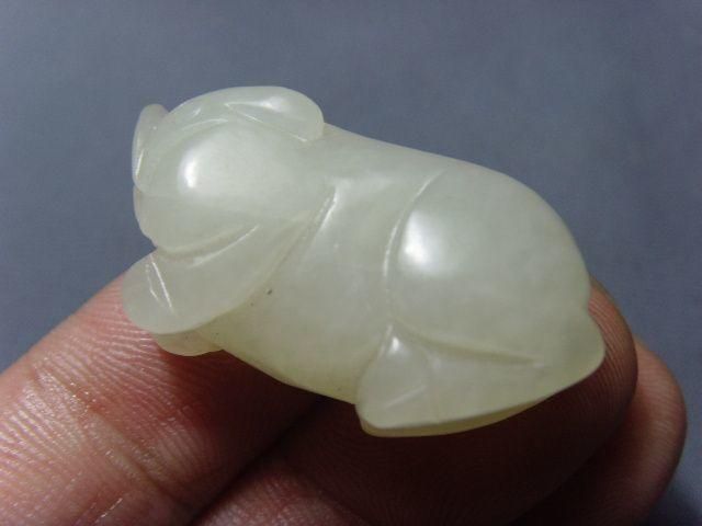 发财猪!_发财猪!价格_发财猪!图片_来自藏友古