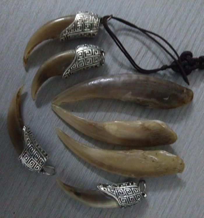 摸金符 鬼吹灯盗墓笔记摸金校尉呆戴的就是这