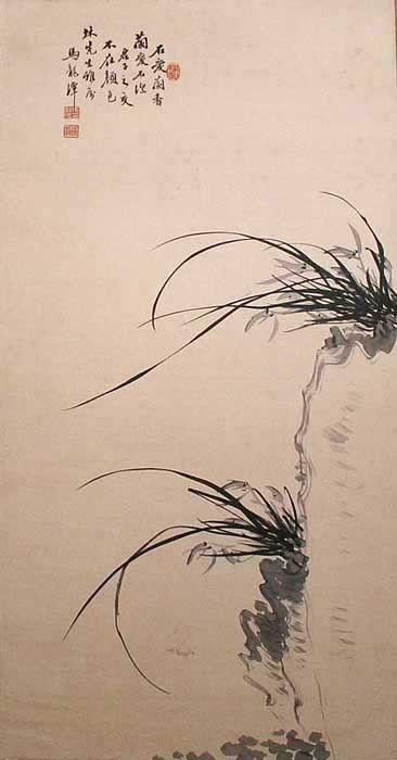 马龙潭兰草(保真)_马龙潭兰草(保真)价格_马龙