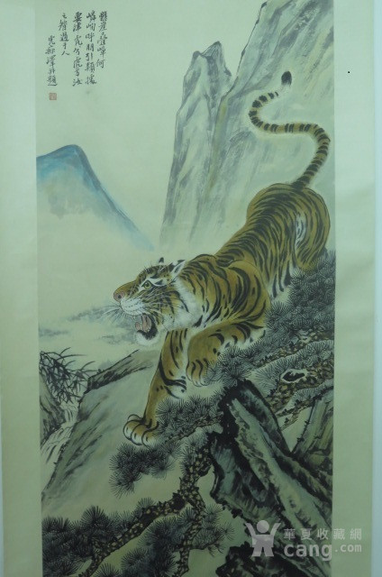 张泽老虎