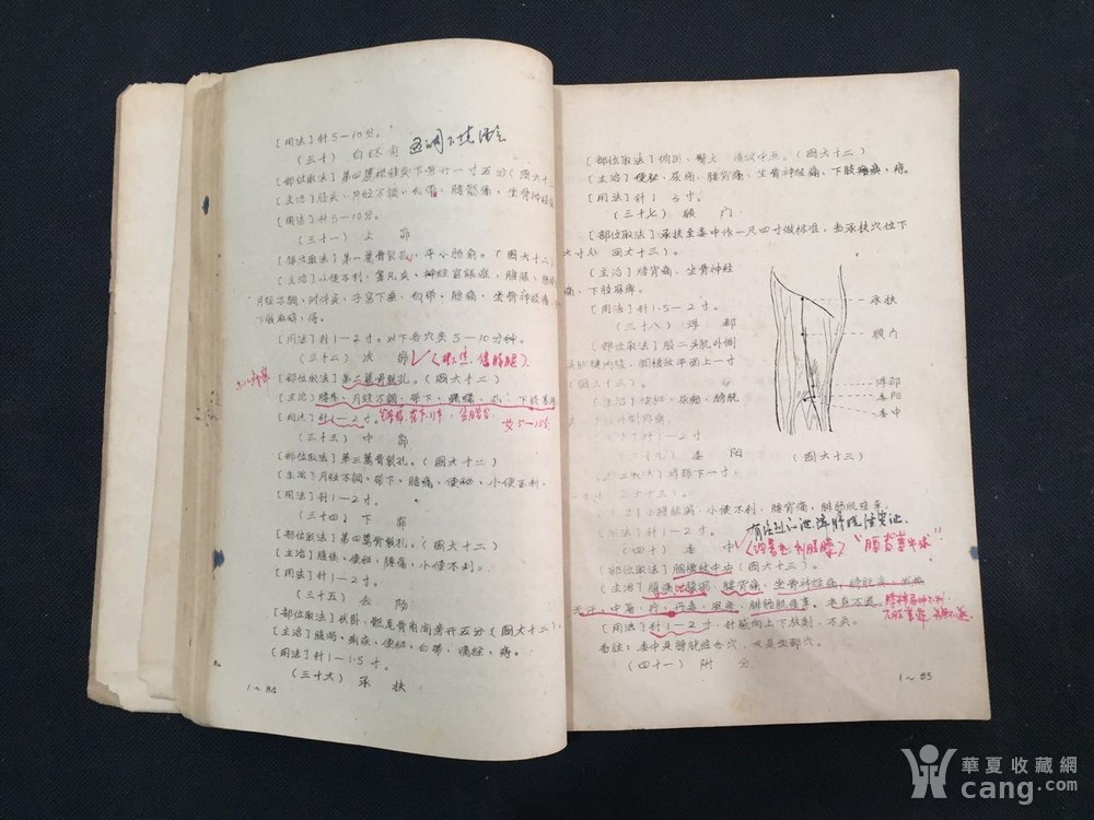 1975年成都中医学院针灸学教程《针灸学》一初稿针织鞋面图片