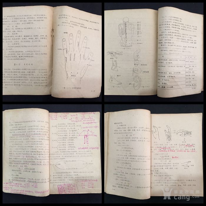 1975年成都中医学院针灸学教程《针灸学》一初稿吊坠雕刻视频牡丹图片