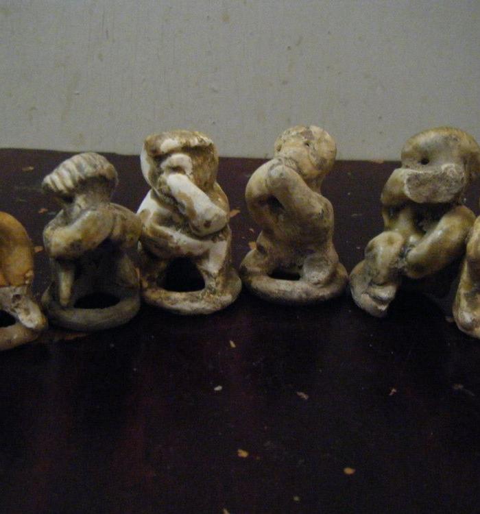 捂嘴大马猴_捂嘴大马猴价格_捂嘴大马猴图片