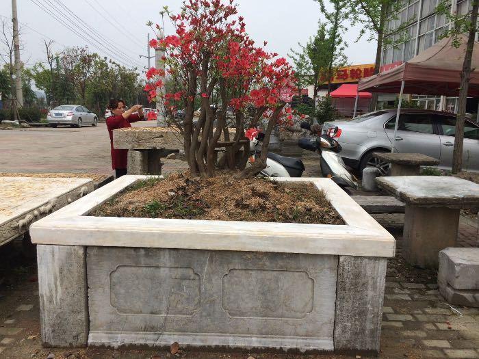 花苔(正方形)四面工_花苔(正方形)四面工价格_