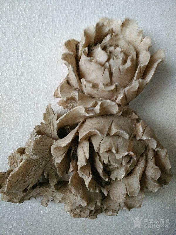 石头花_石头花价格_石头花图片_来自藏友一口