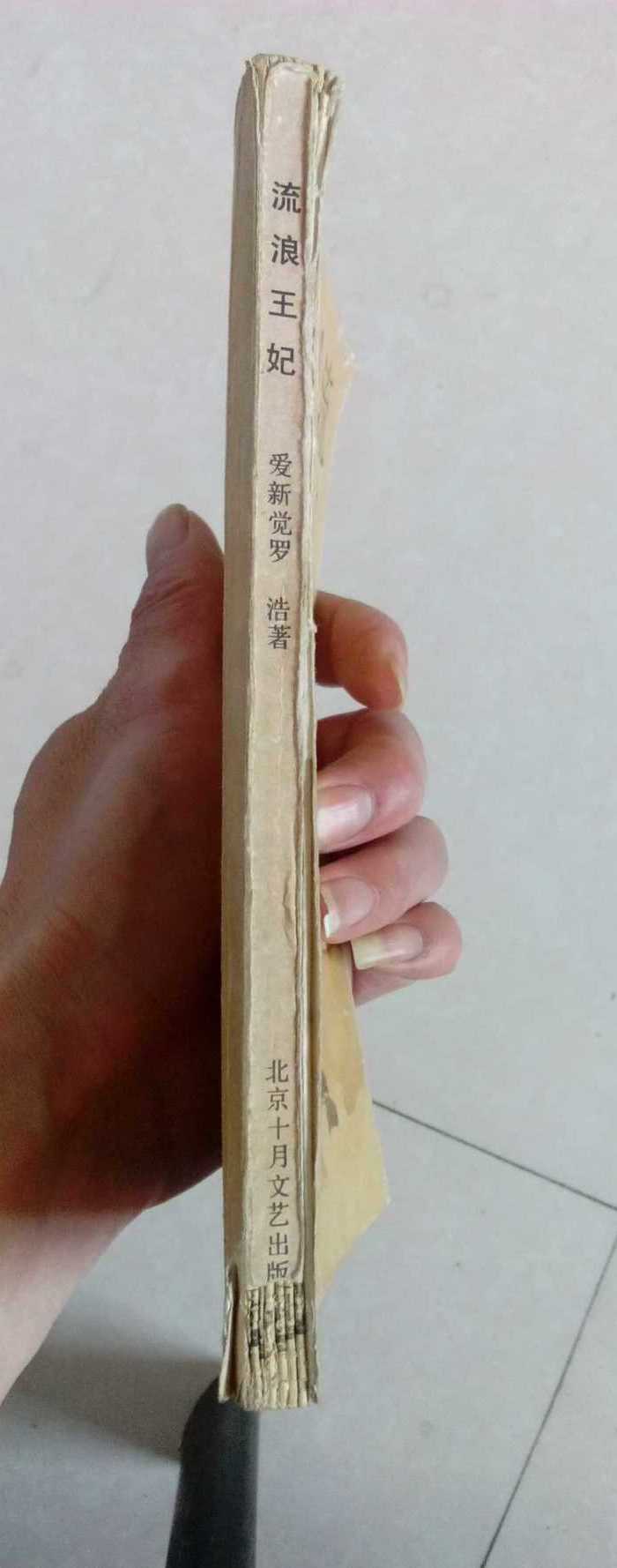 爱新觉罗-浩的自传体小说《流浪王妃》_爱新觉