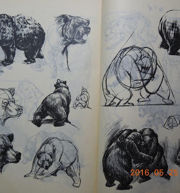 动物画技法_动物画技法价格_动物画技法图片