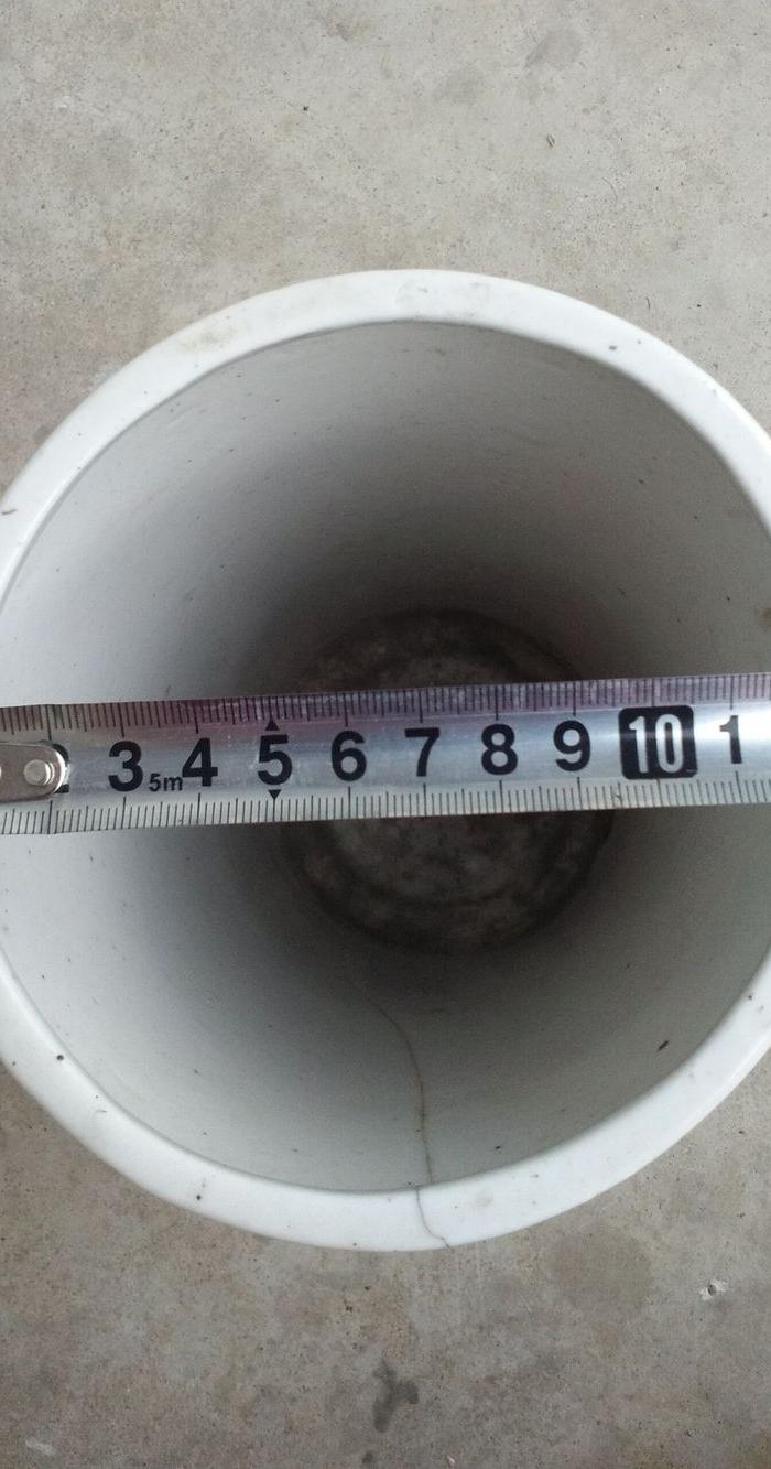 仙女下凡毛筒_仙女下凡毛筒价格_仙女下凡毛